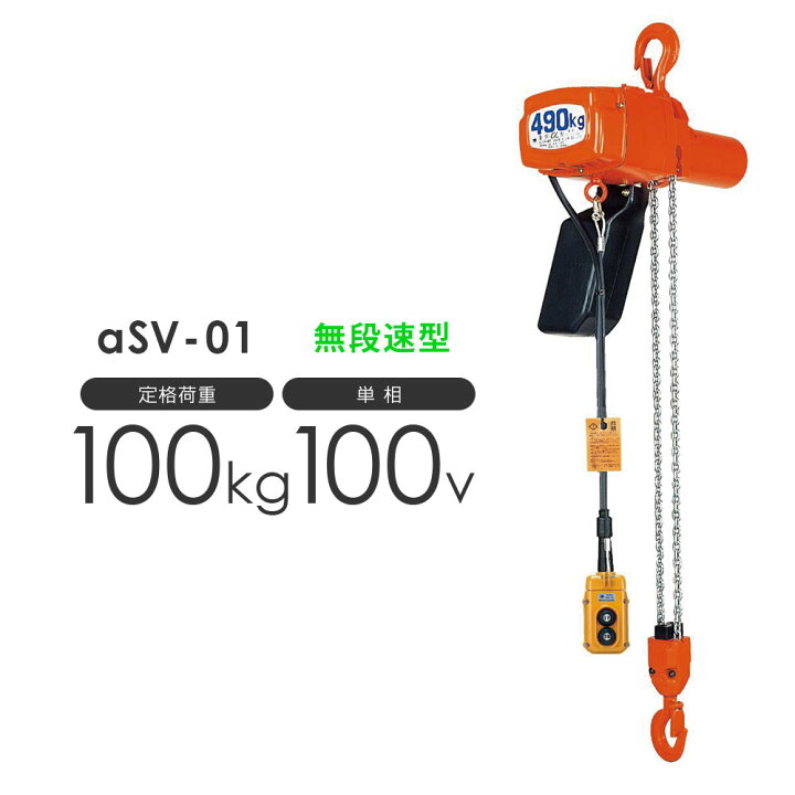 寝屋川市で送料無料！象印単相 100v電気チェンブロック(60kg) 4点押 