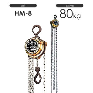 g̃JX^OK!! ۈ zCXg} HM-8 i׏d80kg `F[ubN 蓮 XeXnh`F[ / HM^ tbN zCXg} [h`F[ nh`F[  JX^}