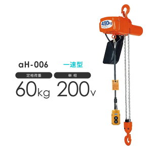 �g���E�R�[�h�̒����ύXOK �ۈ� �A���t�@ �d�C�`�F�[���u���b�N ��H-006 60kg �ꑬ�^ �P��200V�p AH-K0630 �W���g��3.0m �� / �ۈ�`�F���u���b�N �����J�X�^�}�C�Y�@���� ���[�h�`�F�[������ �����{