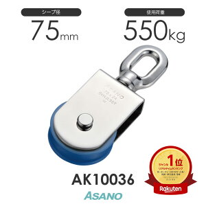 AK10036 T}ubN(iCV[u)(75mm×1) H ASANO XeX