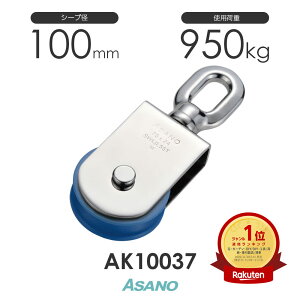 AK10037 T}ubN(iCV[u)(100mm×1) H ASANO XeX