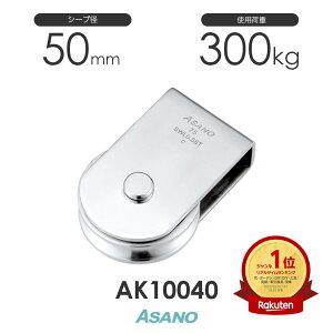 AK10040 nڗpubN(50mm×1) H ASANO XeX