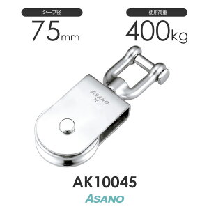 AK10045 C^T}ubN(75mm×1) H ASANO XeX