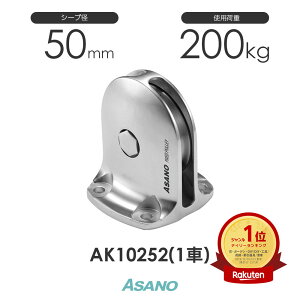 AK10252 Œ芊TR c^(50mm×1) H ASANO XeX