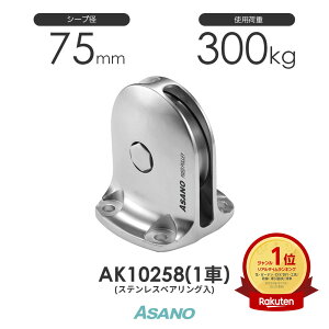 AK10258 Œ芊TR-B XeXxAO c^(75mm×1) H ASANO XeX