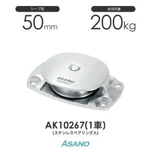 AK10267 Œ芊TR-B XeXxAO ^(50mm×1) H ASANO XeX