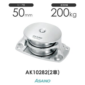 AK10282 Œ芊TR ^(50mm×2) H ASANO XeX