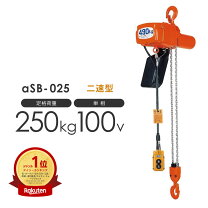楽天市場】電動チェーンブロック 250kの通販
