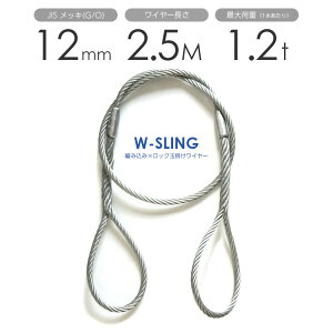 _uXO 12mmx2.5m qQȂ ʊ|C[[v bL 1{