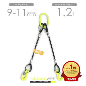 PVC�핢���C�� 2�{�݂� 9-11mm(6x24 JIS���b�L) �I�[�_�[���C�h �g�p�׏d1.2t�i�݂�p�x30°�j �����O�E�t�b�N�J�X�^������ ���̃��C�����[�v