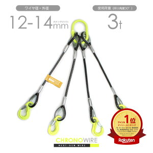 PVC�핢���C�� 4�{�݂� 12-14mm(6x24 JIS���b�L) �I�[�_�[���C�h �g�p�׏d3t�i�݂�p�x30°�j �����O�E�t�b�N�J�X�^������ ���̃��C�����[�v