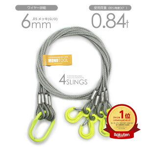 4{݂ ʊ|C[ 6mm bL(G/O) gp׏d:0.84t I[_[Ch JISC[[v OEtbNt