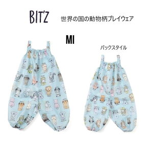 rbc BIT'Z E̍̓ vCEGA ꒅ Aj} 165025FOC^[iVi fo GtI[ BIT'Z bit'z rbc q LbY xr[ j