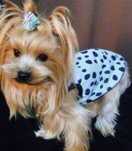 _VAɃĂƂĂIV􂱂ȂĂ܂ŒꂿႢ܂LL_VALΉ