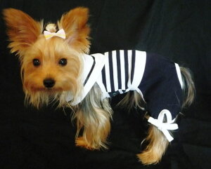 XJ[ttłBȂł܂s[X͂̃{^Ń|CgBȂ͑̃{ŉAs[܂{[_[}s[XȂ