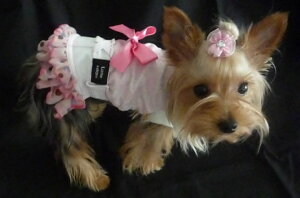 2ităJWAA˔Ă܂BzCgfj tXJ[gLΉʐ^̃gbvX̓Zbgł͂܂