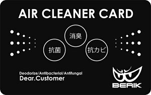 BERIK xbN AIRCLEANERCARD-BK RۏLRJr eiXJ[h oCNEFA@yoCNpiz