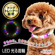 【最大2,000円OFFクーポン配布中】 ドッグトレーナー監修 光る首輪 犬 夜 散歩 小型犬 中型犬 首輪 光る …
