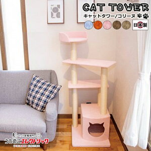 Lbg^[ Y yCollinezR[k u^Cv Vя XgXU ܂Ƃ L lR ˂ lRxbh bNX }[LO Ƌی CeA