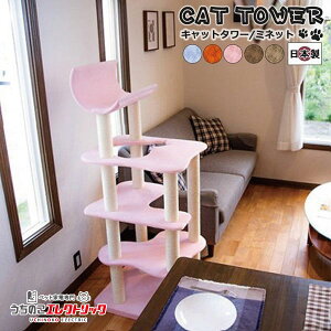 Lbg^[ Y yMinettez~lbg u^Cv Vя XgXU ܂Ƃ L lR ˂ lRxbh bNX }[LO Ƌی CeA