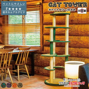 Lbg^[ Y yTatamiz u^Cv Vя XgXU ܂Ƃ L lR ˂ lRxbh bNX }[LO Ƌی CeA