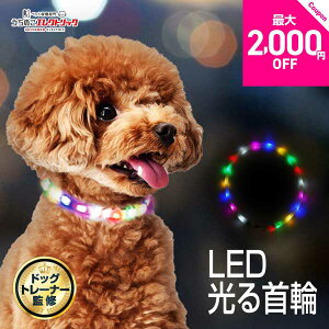 r[TthbOg[i[ďC   ^ ^   U  LED Cg C{[ USB [d TCY߉\ Ђ LL \tg _炩 炩 S 