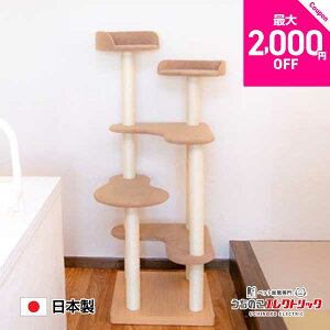 yő2,000~OFFN[|zzzLbg^[ Y yMarumiz}~ u^Cv Vя XgXU ܂Ƃ L lR ˂ lRxbh bNX }[LO Ƌی CeA