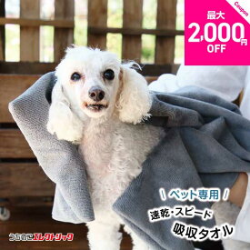 レビュー特典付☆ペットタオル 犬 猫 吸水 速乾 マイクロファイバー 超吸水 シャンプー ドライヤー タオル ペット 犬用 猫用 グレー 持ち運び 吸水性高い すぐ乾く ドライ いぬ ねこ Taitto QUICK DRY TOWEL タイット クイックドライタオル プチギフト