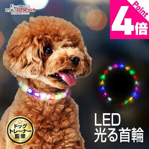 r[TthbOg[i[ďC   ^ ^   U  LED Cg C{[ USB [d TCY߉\ Ђ LL \tg _炩 炩 S 