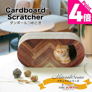 y{P4{z_{[߂Ƃ i`V[Y w{[ Cardboard Scratcher Ƌی AR̐ڒ܂ňS i{[ XgXU ܂Ƃ L lR ˂ ϋv xi{[ 