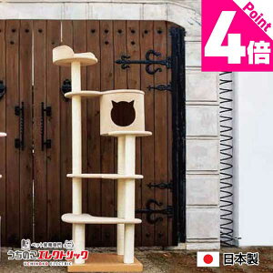 y{P4{zLbg^[ Y yAce coffretzG[X Rt u^Cv Vя XgXU ܂Ƃ L lR ˂ lRxbh bNX }[LO Ƌی CeA