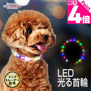 r[TthbOg[i[ďC   ^ ^   U  LED Cg C{[ USB [d TCY߉\ Ђ LL \tg _炩 炩 S 