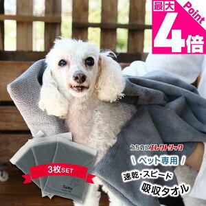 r[Tt14OFFy3Zbgz ybg^I  L z  }CNt@Co[ z Vv[ hC[ ^I ybg p Lp O[ ^ z  h