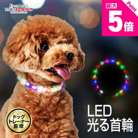 レビュー特典付☆ドッグトレーナー監修 光る首輪 犬 小型犬 中型犬 首輪 光る 散歩 夜 LED ライト レインボー USB 充電式 サイズ調節可能 ひかる キラキラ ソフト 柔らかい やわらかい 安全 犬の首輪 ペット