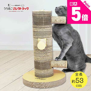 y{Pő5{zij܂Ƃ^[ Jt[|[ Kung Fu Paw  49 ×  30 × s30 cm LbgXNb` |Xg Petique Lp ˂ lR _{[ i{[ L̂ L̒