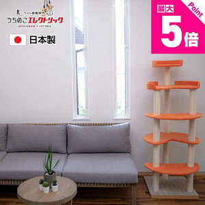 y{Pő5{zLbg^[ Y yLunaz`i u^Cv Vя XgXU ܂Ƃ L lR ˂ lRxbh bNX }[LO Ƌی CeA