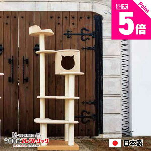 y{Pő5{zLbg^[ Y yAce coffretzG[X Rt u^Cv Vя XgXU ܂Ƃ L lR ˂ lRxbh bNX }[LO Ƌی CeA