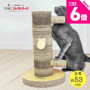 y{Pő6{zij܂Ƃ^[ Jt[|[ Kung Fu Paw  49 ×  30 × s30 cm LbgXNb` |Xg Petique Lp ˂ lR _{[ i{[ L̂ L̒