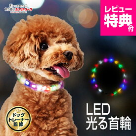 レビュー特典付☆ドッグトレーナー監修 光る首輪 犬 小型犬 中型犬 首輪 光る 散歩 夜 LED ライト レインボー USB 充電式 サイズ調節可能 ひかる キラキラ ソフト 柔らかい やわらかい 安全 犬の首輪 ペット