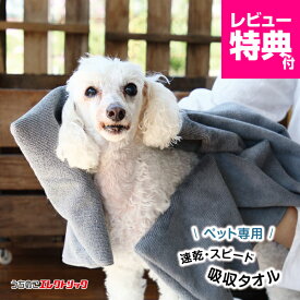 レビュー特典付☆ペットタオル 犬 猫 吸水 速乾 マイクロファイバー 超吸水 シャンプー ドライヤー タオル ペット 犬用 猫用 グレー 持ち運び 吸水性高い すぐ乾く ドライ いぬ ねこ Taitto QUICK DRY TOWEL タイット クイックドライタオル プチギフト