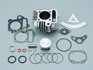 yz fCgi L[/S rbO{AAbvLbg (m[}HΉ88cc) /18796