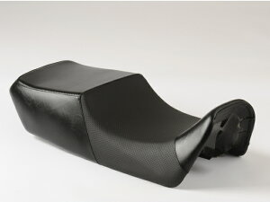 yz fCgi RCM consept DAYTONA COZYV[g GPZ Ninja (74206)