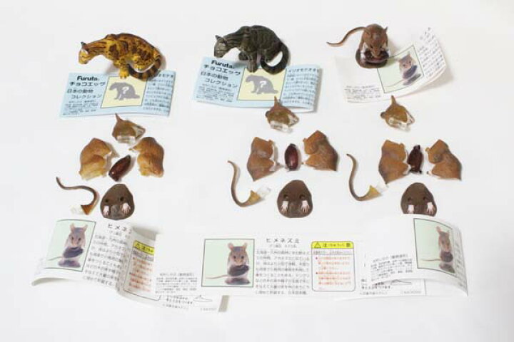 楽天市場 チョコエッグ 日本の動物 第5弾 大量 500個以上 セット 全24種 シークレット イリオモテヤマネコ2種 パルコ 限定 ヒメネズミ ハート有り エムズカンパニー