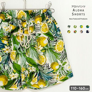 yzAnn[tpc LbY q j̎q ̎q Y{ V[c {gX qǂ ][g s  킢 p ĕ ĕ AJW WjA 110cm 120cm 130cm 140c