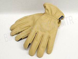 2025Nf KUSHITANI NV^j K5368 XeAO[u x[W CfBOO[u oCNO[u D ǗT