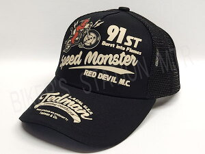 TEDMAN'S ebh} TDC-8800 Lbv ubN t[TCY 싅X Xq oCNfUC oCNLbv oCN~肽̕K{ACe ǗL