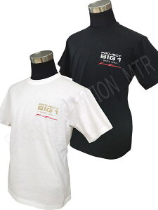 HONDA z_  PROJECT BIG-1 TVc RbgTVc  S2F zCg ubN vWFNg rbN ǗN