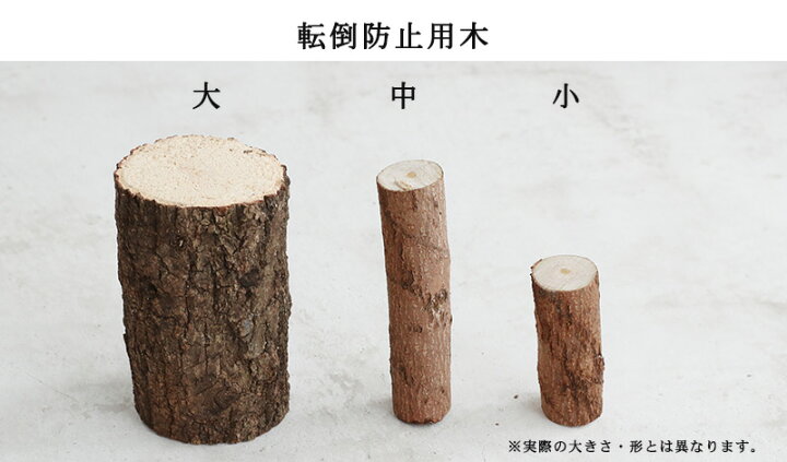 楽天市場】【コバエシャッター「昆虫飼育ケース」小サイズ(内部仕切りあり)】豪華7点セット : むしや本舗 楽天市場】【コバエシャッター「昆虫飼育ケース」小サイズ(内部仕切りあり)】豪華7点セット : むしや本舗