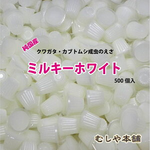 ނ{ Y [[! ~L[zCg 16g 500 JugV NK^  [[  GT a Y ^pN ⋋H  pi e ybg q l eq 