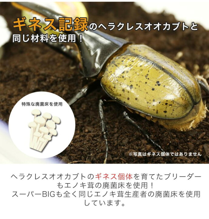 送料無料